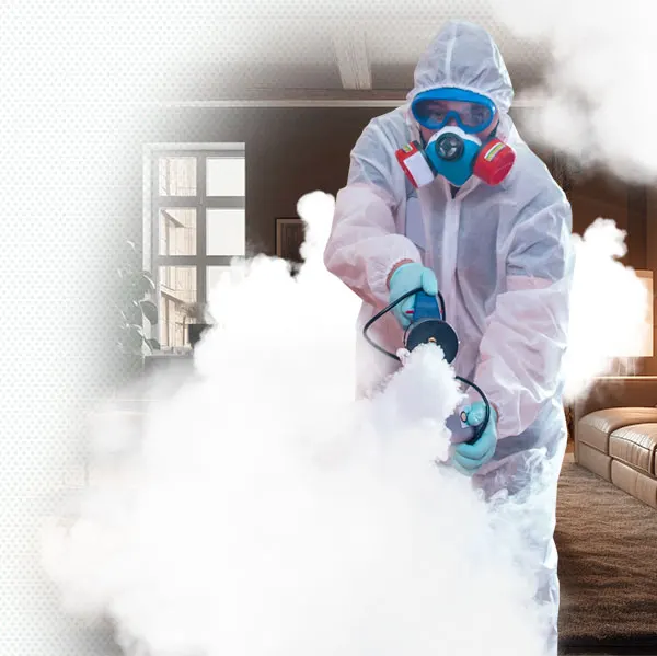 Técnico nebulizando amonio cuaternario en una casa